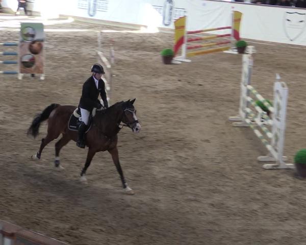 Jezdecký turnaj Prussendorf 2026