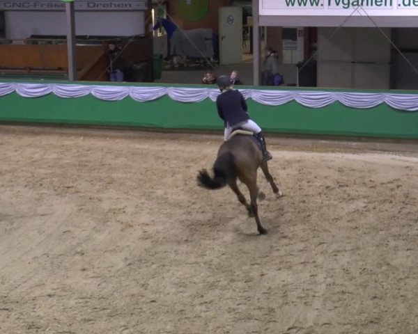 Hallenturnier Gahlen 2015