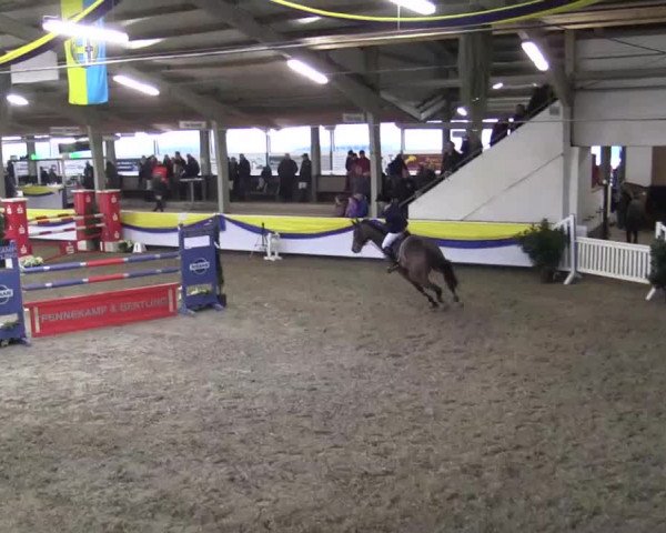 23. Grosses Hallenspringturnier Vreden