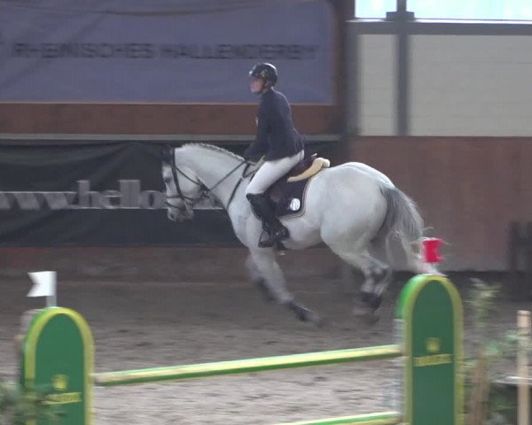 Reitturnier Grevenbroich - Gut Neuhaus 2021