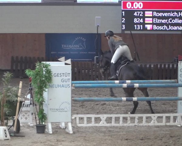 Reitturnier Grevenbroich - Gut Neuhaus 2021