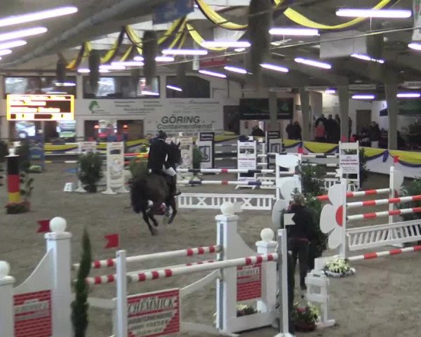 23. Grosses Hallenspringturnier Vreden