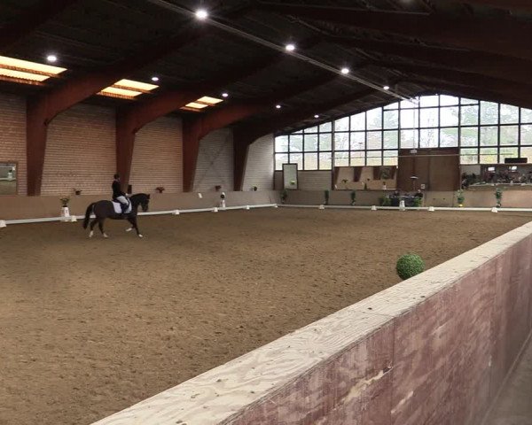 Reitturnier Kamen 2021