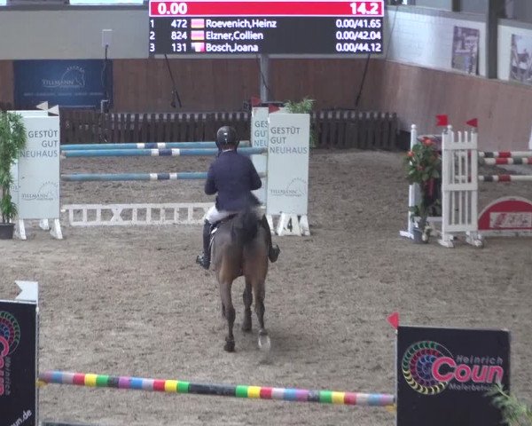 Reitturnier Grevenbroich - Gut Neuhaus 2021