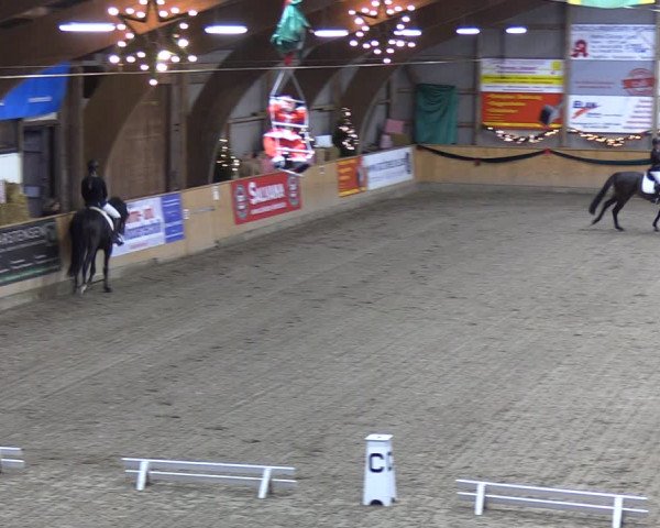 Reitturnier Leck 2021