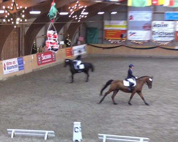 Reitturnier Leck 2021