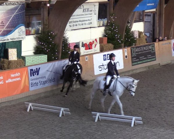 Reitturnier Leck 2021