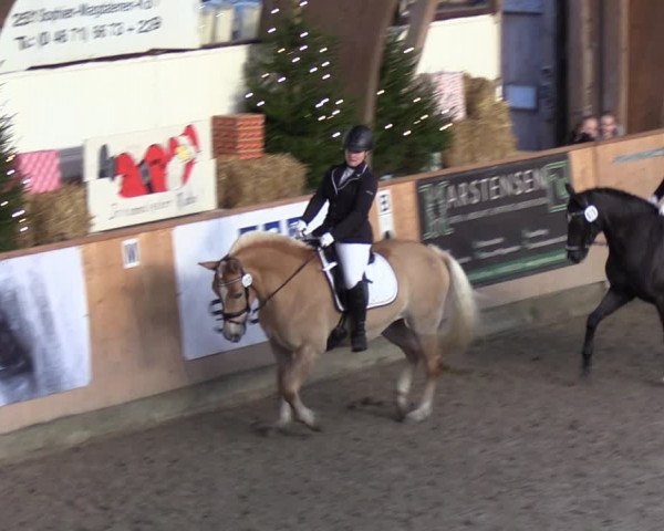 Reitturnier Leck 2021