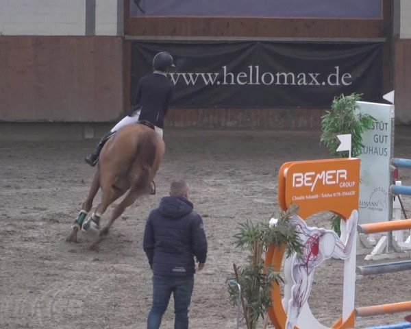 Reitturnier Grevenbroich - Gut Neuhaus 2021