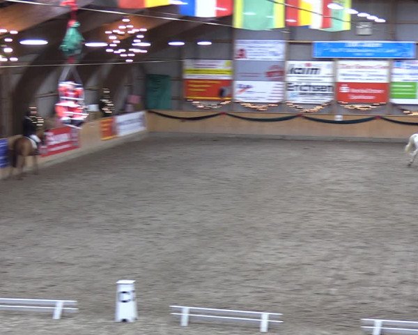 Reitturnier Leck 2021