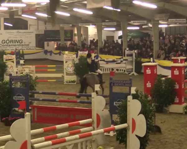23. Grosses Hallenspringturnier Vreden