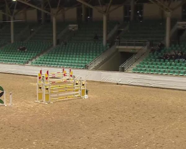 Reitturnier Kreuth/Opf. 2026