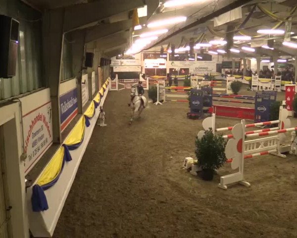 23. Grosses Hallenspringturnier Vreden