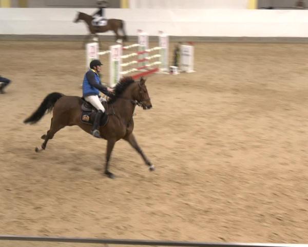 Ridturnering Stadl Paura 2026