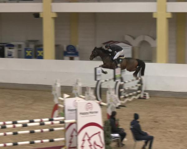 Reitturnier Stadl Paura 2026