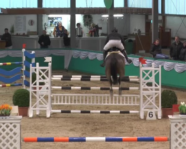 Hallenturnier Gahlen 2015
