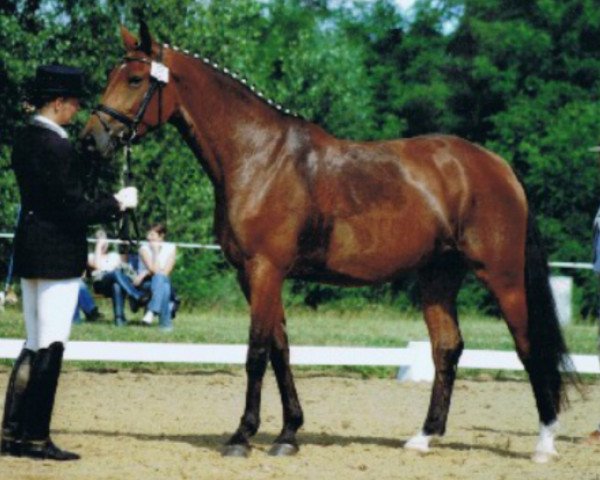 broodmare Mona Lisa (Hanoverian, 1992, from Maurice)