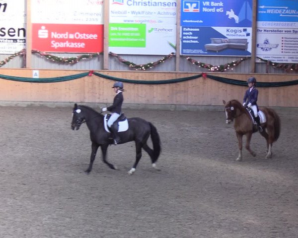 Reitturnier Leck 2021