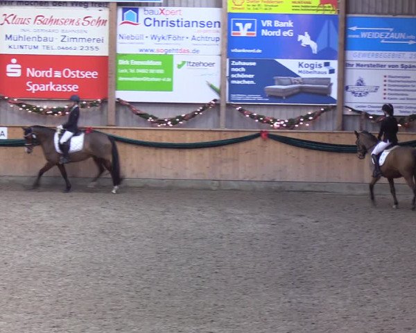 Reitturnier Leck 2021