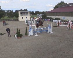 jumper Checker (German Warmblood, 2014, from Clarcon)