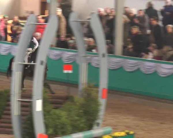 Hallenturnier Gahlen 2015