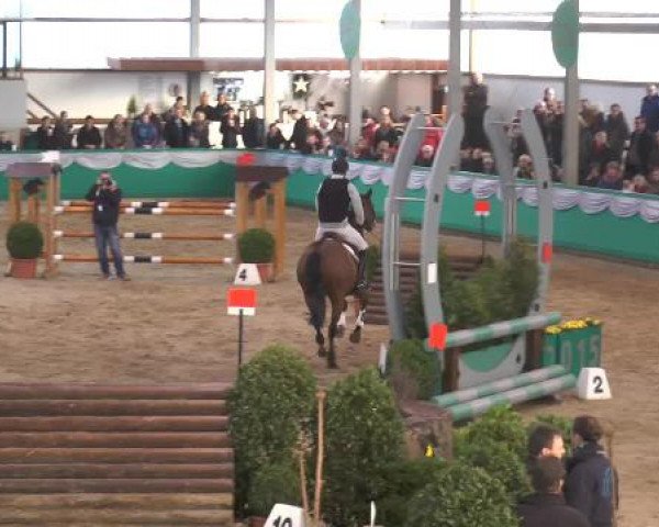 Hallenturnier Gahlen 2015