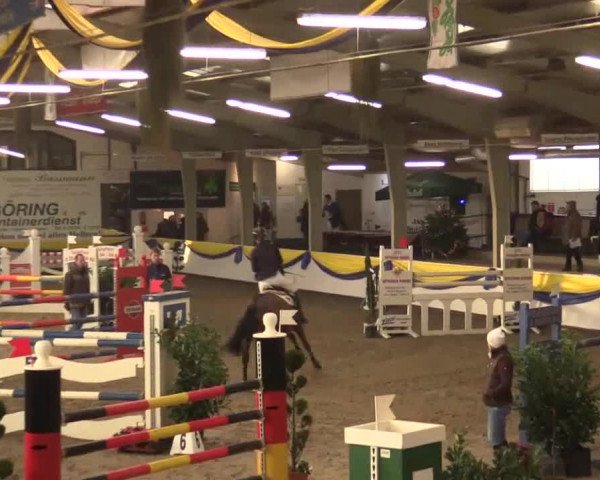 23. Grosses Hallenspringturnier Vreden