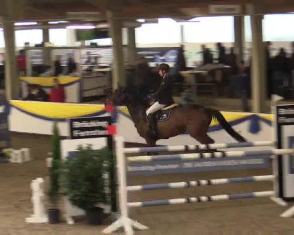 23. Grosses Hallenspringturnier Vreden