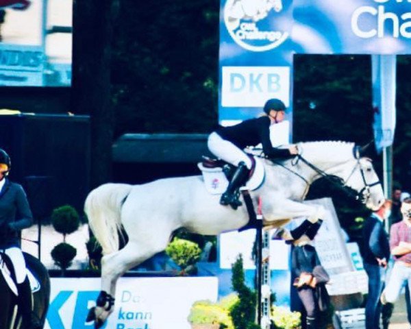 Springpferd Atc's Shantou G (Hannoveraner, 2007, von Salito)
