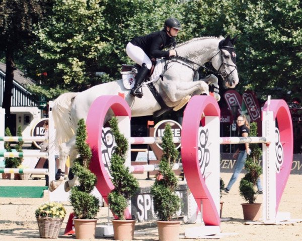 Springpferd Atc's Shanghai G (Hannoveraner, 2006, von Salito)