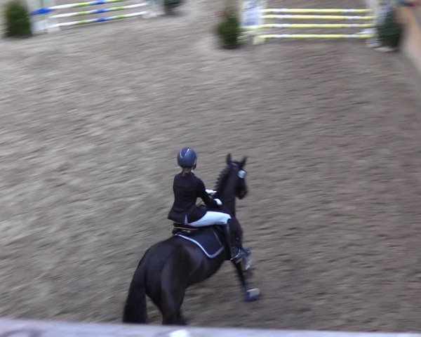 Reitturnier Leck 2021
