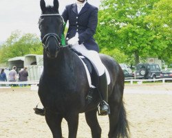 dressage horse Thoma van de Batouwe (Friese, 0000, from Brend)