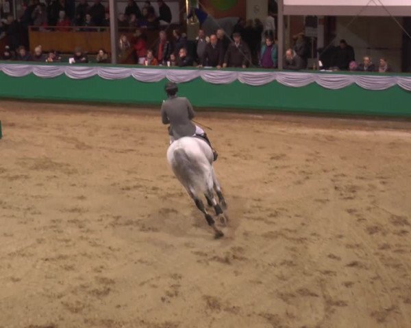 Hallenturnier Gahlen 2015
