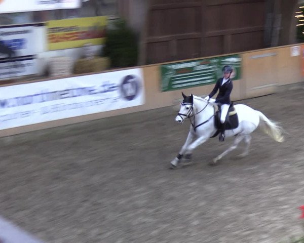 Reitturnier Leck 2021