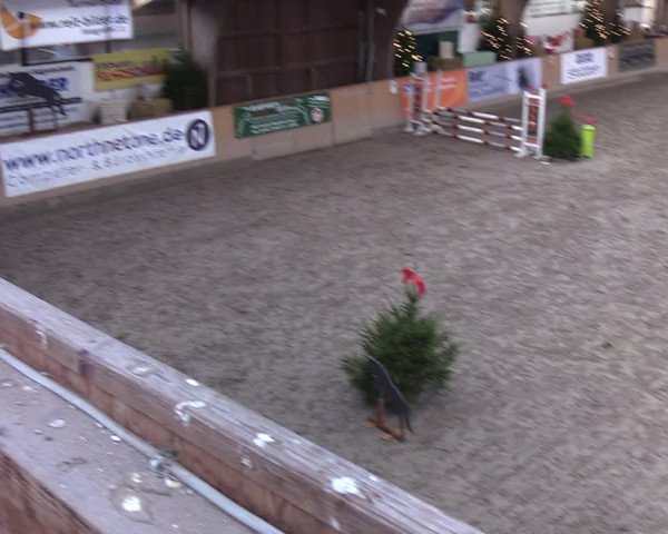 Reitturnier Leck 2021