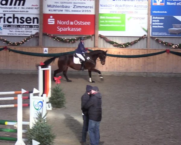 Reitturnier Leck 2021