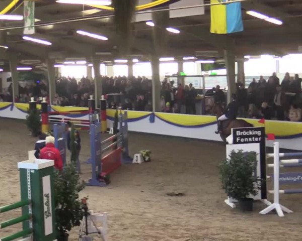 23. Grosses Hallenspringturnier Vreden