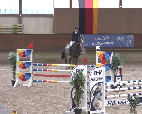 Reitturnier Marl 2026