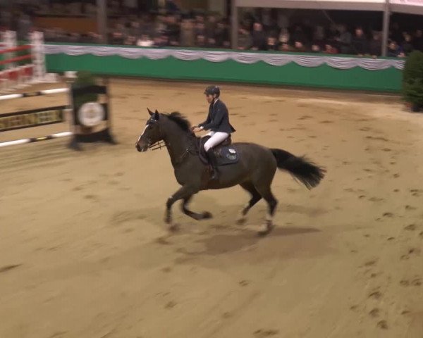 Hallenturnier Gahlen 2015