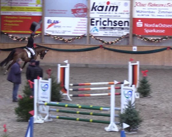 Reitturnier Leck 2021