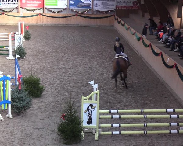 Reitturnier Leck 2021