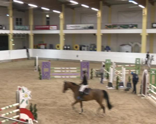 Reitturnier Stadl Paura 2026