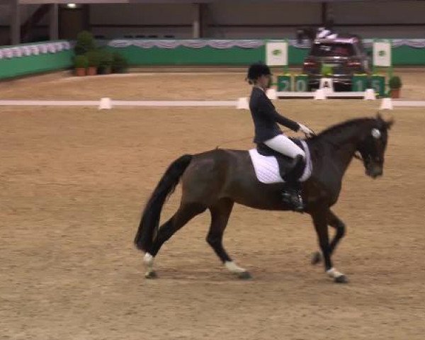 Hallenturnier Gahlen 2015