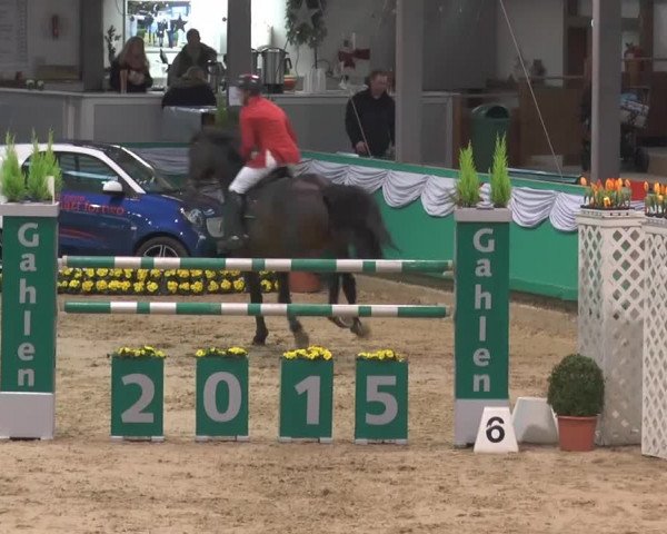 Hallenturnier Gahlen 2015