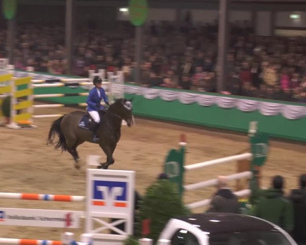 Hallenturnier Gahlen 2015