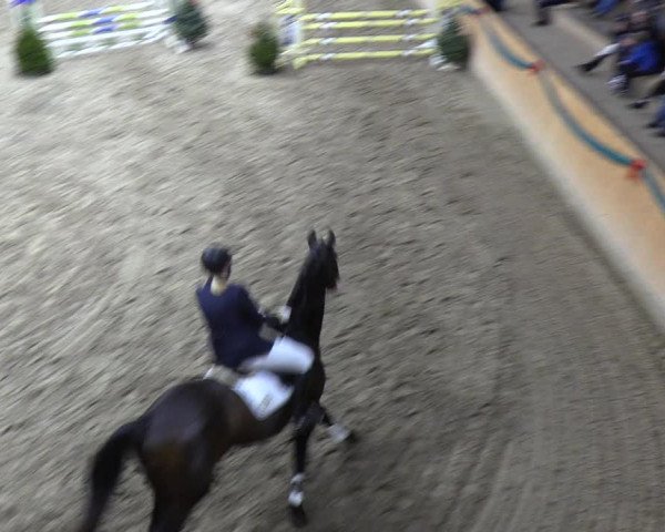 Reitturnier Leck 2021