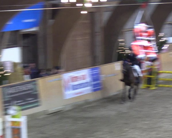 Reitturnier Leck 2021