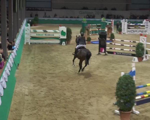 Hallenturnier Gahlen 2015