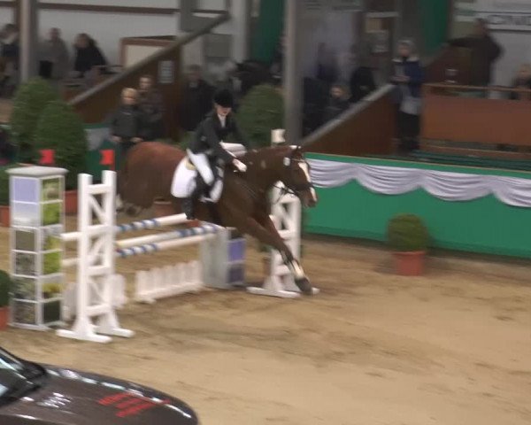 Hallenturnier Gahlen 2015