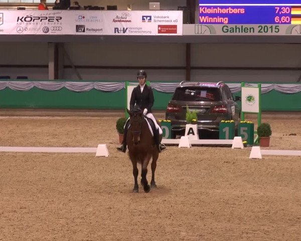 Hallenturnier Gahlen 2015